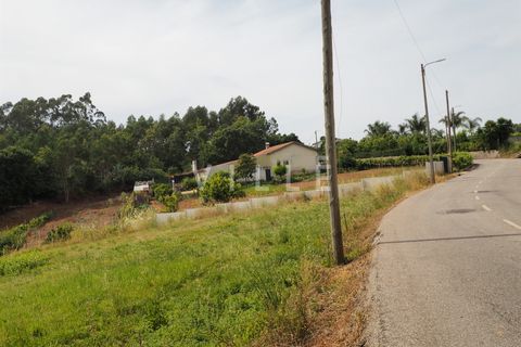 Terra a Agueda, Aveiro, Agueda - € 48.000 | Ref: AV2645 - foto 12