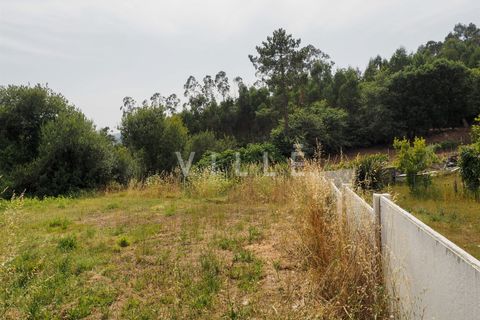 Terra a Agueda, Aveiro, Agueda - € 48.000 | Ref: AV2645 - foto 13