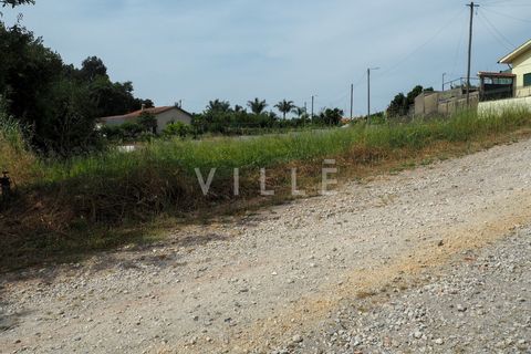 Terra a Agueda, Aveiro, Agueda - € 48.000 | Ref: AV2645 - foto 14