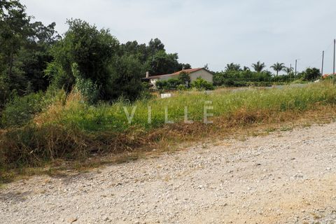 Terra a Agueda, Aveiro, Agueda - € 48.000 | Ref: AV2645 - foto 15