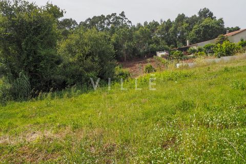 Terra a Agueda, Aveiro, Agueda - € 48.000 | Ref: AV2645 - foto 16