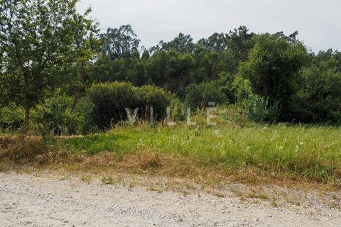 Terra a Agueda, Aveiro, Agueda - € 48.000 | Ref: AV2645 - foto 17