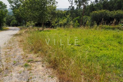 Terra a Agueda, Aveiro, Agueda - € 48.000 | Ref: AV2645 - foto 18