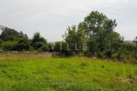 Terra a Agueda, Aveiro, Agueda - € 48.000 | Ref: AV2645 - foto 19