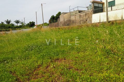 Terra a Agueda, Aveiro, Agueda - € 48.000 | Ref: AV2645 - foto 20