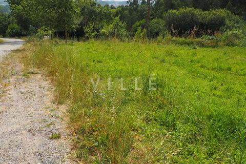 Terra a Agueda, Aveiro, Agueda - € 48.000 | Ref: AV2645 - foto 21