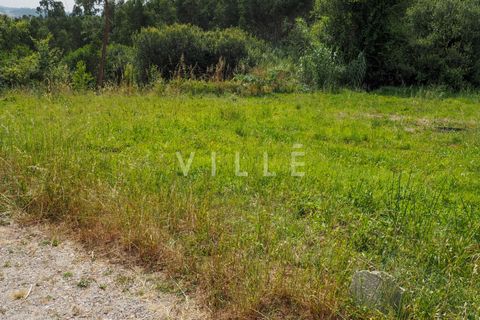 Terra a Agueda, Aveiro, Agueda - € 48.000 | Ref: AV2645 - foto 22