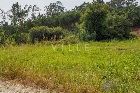 Terra a Agueda, Aveiro, Agueda - € 48.000 | Ref: AV2645 - foto 23