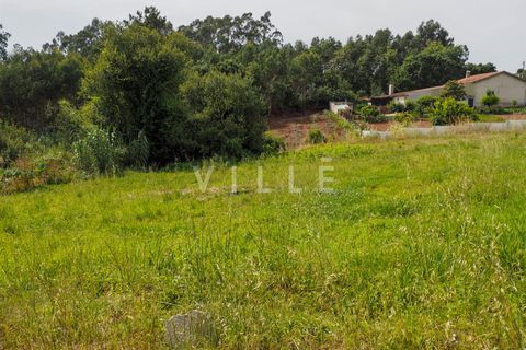 Terra a Agueda, Aveiro, Agueda - € 48.000 | Ref: AV2645 - foto 24