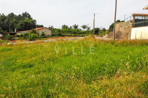 Terra a Agueda, Aveiro, Agueda - € 48.000 | Ref: AV2645 - foto 25
