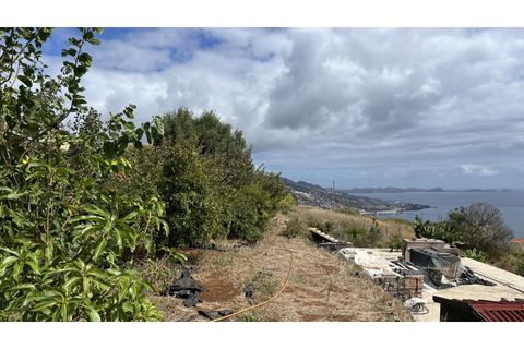 Terra a Gaula, Madeira, Gaula - € 295.000 | Ref: TER_1964 - foto 3