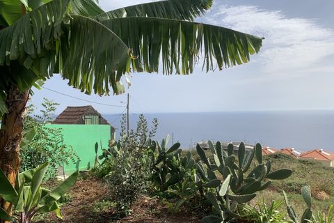 Terra a Gaula, Madeira, Gaula - € 295.000 | Ref: TER_1964 - foto 5