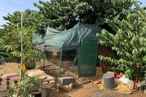 Terra a Gaula, Madeira, Gaula - € 295.000 | Ref: TER_1964 - foto 7