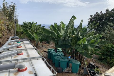Terra a Gaula, Madeira, Gaula - € 295.000 | Ref: TER_1964 - foto 9