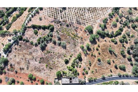 Helårsgrund i Estoi, Faro, Estoi - € 350.000 | Ref: UNU.I.1698.20554 - foto 3