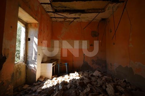 Helårsgrund i Estoi, Faro, Estoi - € 350.000 | Ref: UNU.I.1698.20554 - foto 14