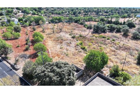 Helårsgrund i Estoi, Faro, Estoi - € 350.000 | Ref: UNU.I.1698.20554 - foto 25