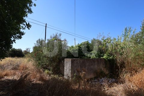 Helårsgrund i Estoi, Faro, Estoi - € 350.000 | Ref: UNU.I.1698.20554 - foto 26