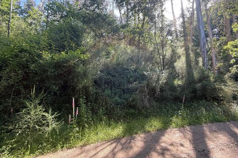 Terra a Azere, Viana do Castelo, Azere - € 12.000 | Ref: 126371020-41 - foto 3
