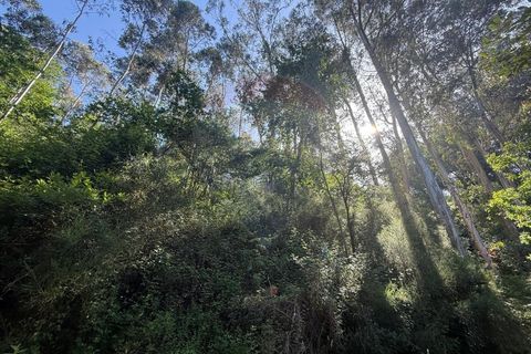 Terra a Azere, Viana do Castelo, Azere - € 12.000 | Ref: 126371020-41 - foto 4