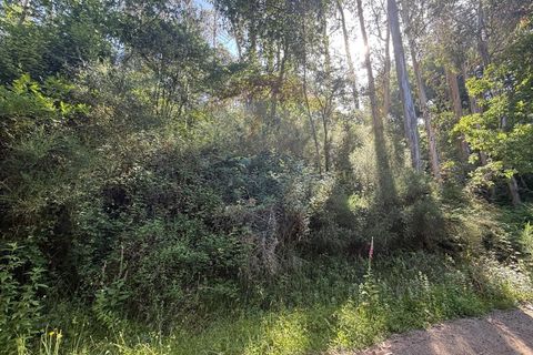 Terra a Azere, Viana do Castelo, Azere - € 12.000 | Ref: 126371020-41 - foto 5