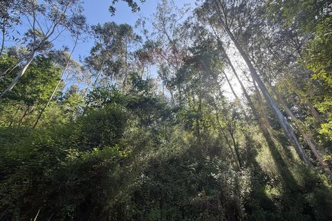 Terra a Azere, Viana do Castelo, Azere - € 12.000 | Ref: 126371020-41 - foto 6