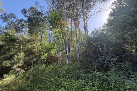 Terra a Azere, Viana do Castelo, Azere - € 12.000 | Ref: 126371020-41 - foto 7