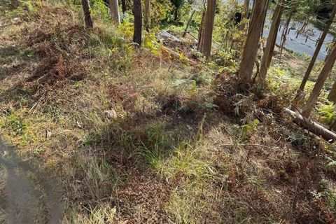 Terra a Azere, Viana do Castelo, Azere - € 6.500 | Ref: 1020-40 - foto 2
