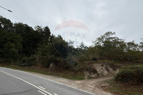 Terra a Azere, Viana do Castelo, Azere - € 7.500 | Ref: 1020-39 - foto 2