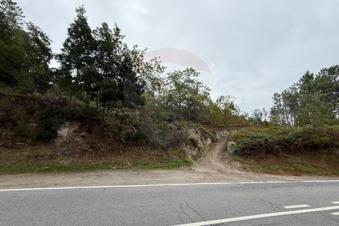 Terra a Azere, Viana do Castelo, Azere - € 7.500 | Ref: 1020-39 - foto 3