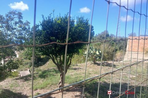 Terra a Messina, Messina, Messina - € 18.000 | Ref: FUT-8996 - foto 3