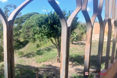 Terra a Messina, Messina, Messina - € 18.000 | Ref: FUT-8996 - foto 6