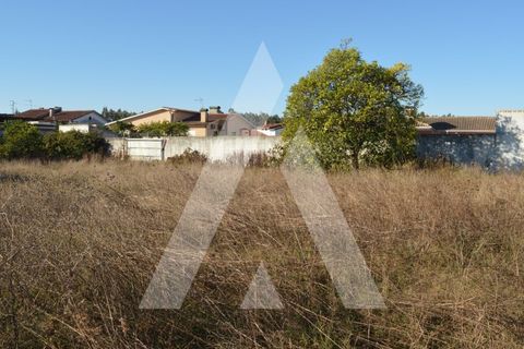 Villa i Agueda, Aveiro, Agueda - € 400.000 | Ref: 1060957/25 AL - foto 27