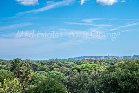 Villa i Grimaud, Var, Grimaud - € 1.090.000 | Ref: 84399787 - foto 19