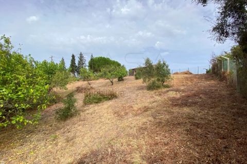 Helårsgrund i Setubal, Setubal, Setubal - € 290.000 | Ref: CC_TER_18110 - foto 4