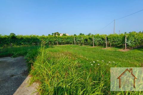 Villa a Susegana, Treviso, Susegana - € 490.000 | Ref: DS217 - foto 20