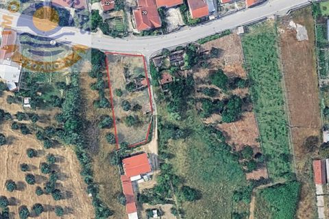 Helårsgrund i Ourem, Santarem, Ourem - € 37.000 | Ref: SÒL_774 - foto 4