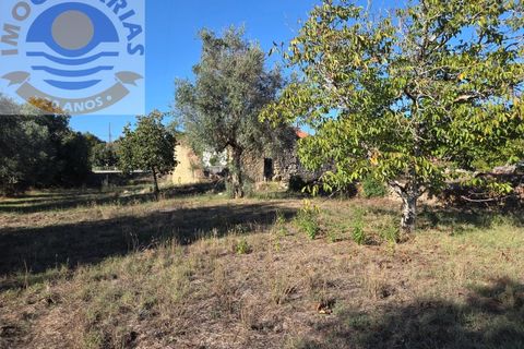 Helårsgrund i Ourem, Santarem, Ourem - € 37.000 | Ref: SÒL_774 - foto 13