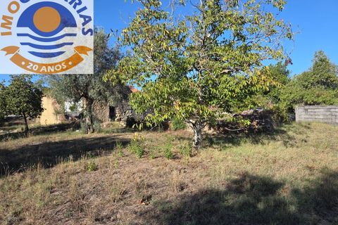 Helårsgrund i Ourem, Santarem, Ourem - € 37.000 | Ref: SÒL_774 - foto 14