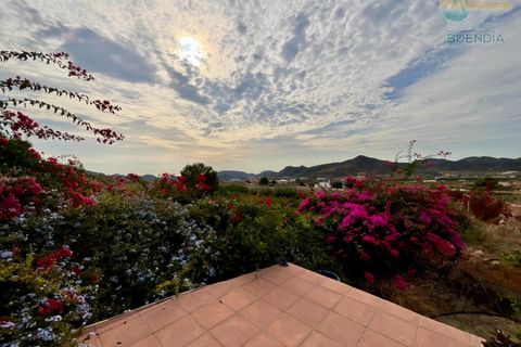 Landejendom i Lorca, Murcia, Lorca - € 370.000 | Ref: 000240/9522 - foto 2