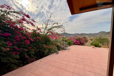 Landejendom i Lorca, Murcia, Lorca - € 370.000 | Ref: 000240/9522 - foto 6