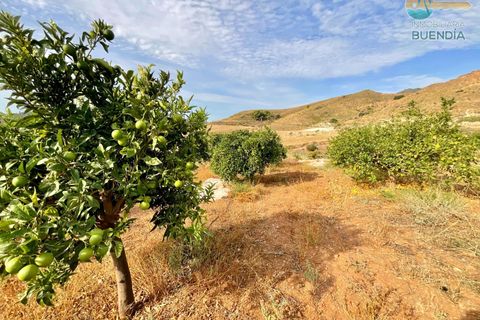 Landejendom i Lorca, Murcia, Lorca - € 370.000 | Ref: 000240/9522 - foto 9
