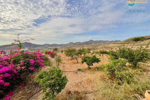 Landejendom i Lorca, Murcia, Lorca - € 370.000 | Ref: 000240/9522 - foto 10