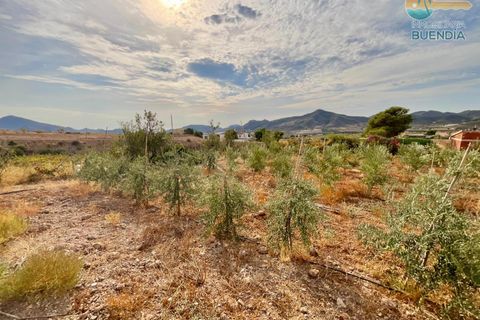 Landejendom i Lorca, Murcia, Lorca - € 370.000 | Ref: 000240/9522 - foto 30