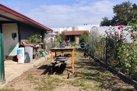 Helårsgrund i Maia, Porto, Maia - € 420.000 | Ref: ZMPT581555 - foto 8