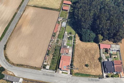 Helårsgrund i Maia, Porto, Maia - € 420.000 | Ref: ZMPT581555 - foto 26