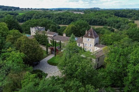 Villa i Monflanquin, Lot-et-Garonne, Monflanquin - € 3.900.000 | Ref: BVI76604 - foto 3