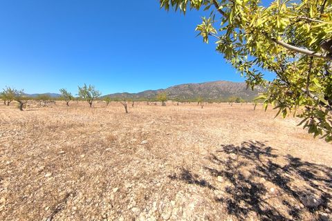 Helårsgrund i Monovar, Alicante, Monovar - € 50.000 | Ref: 70068 - foto 1