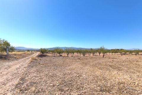 Helårsgrund i Monovar, Alicante, Monovar - € 50.000 | Ref: 70068 - foto 2