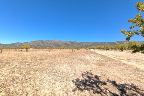 Helårsgrund i Monovar, Alicante, Monovar - € 50.000 | Ref: 70068 - foto 3